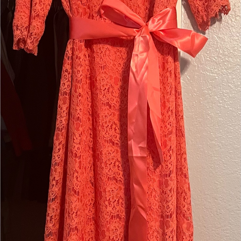 New with tags, never worn, dainty Jewells a night in Paris dress